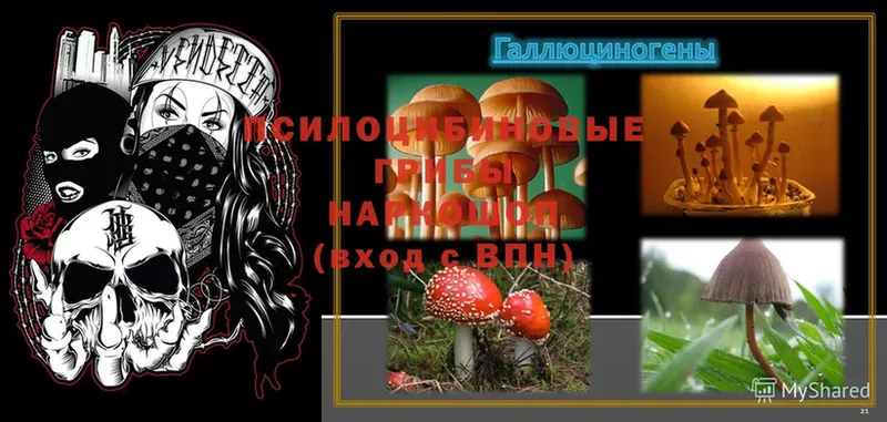 Псилоцибиновые грибы Magic Shrooms  Красный Кут 